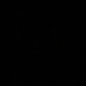 Meet your Posher, Yasmine